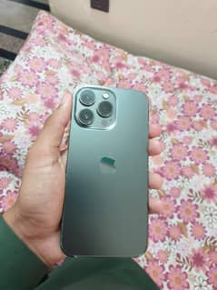 13 Pro Non 256GB