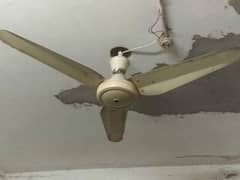 Fans for Sale
