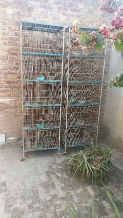 Birds cage for sale
