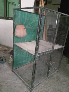 Birds cage