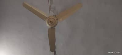Ceiling fans for sale