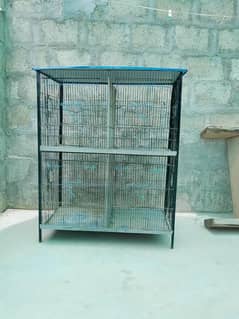 parrot