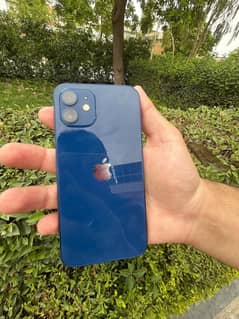 iphone 12 in lush condition