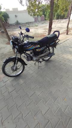 Rohi 100