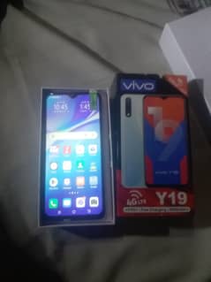vivo y19 brand new 8/256 GB
