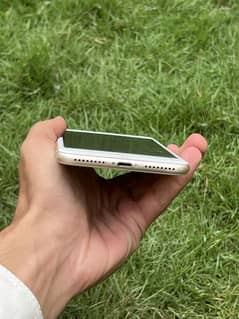 iPhone 7plus pta approved 32gb