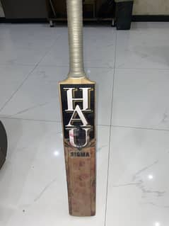 HAU