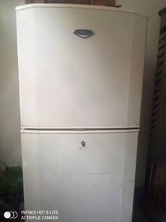 hair refrigerator for sale