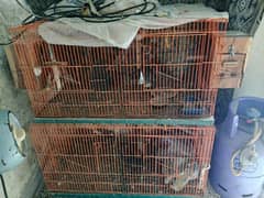 cages for birds