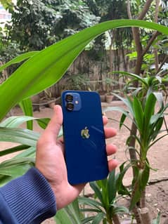 Iphone 12 pta 128 gb