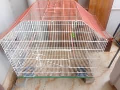 lovebirds fisher 2 pair with cage