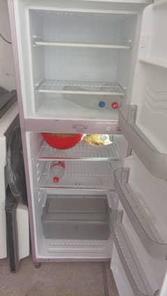 waves fridge