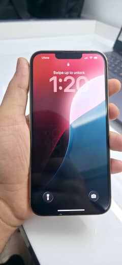 iPhone 13 Pro Max 1Tb