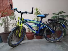 Atlantic Sports Bicycle