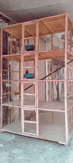 Complete Setup of Birds 0*3*0*7*5*0*3*9*8*1*5