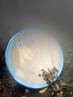 Second hand Dish antenna urgently