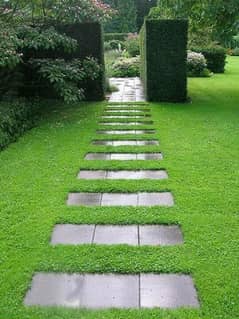 Astroturf,garden