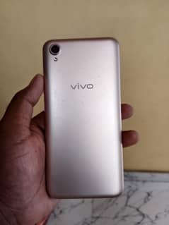 vivo
