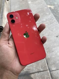 iPhone 12 Waterpack