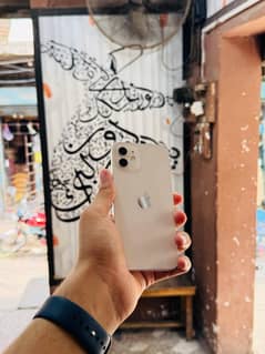 iphone 12 256GB Non PTA Not JV 10/10 Waterpack