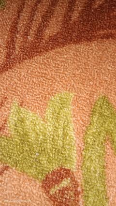 good conditioned carpet