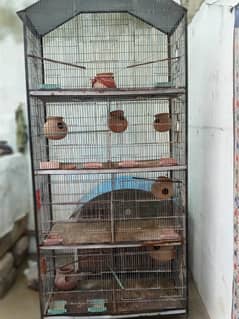 bird cage