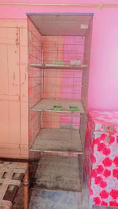 lovebird Cage