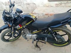 yamaha ybr 125g 2021