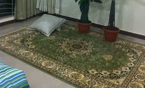 carpet