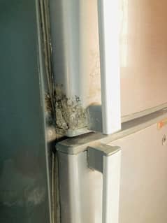 Fridge for sale