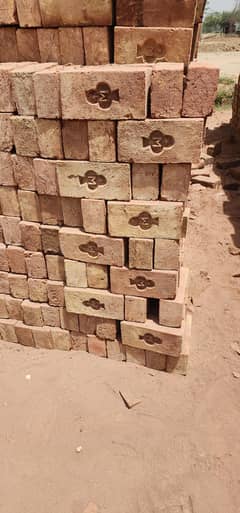 Special  Bricks M
