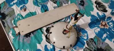 Ceiling fan white colour