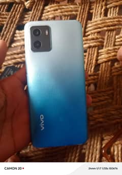 vivo