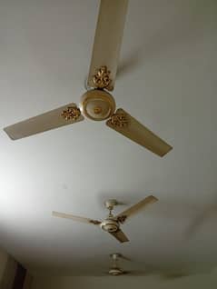 royal fans stylish for sale in very good condition