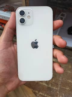 iPhone 12 64GB Official PTA Approved