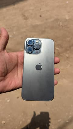 sahil