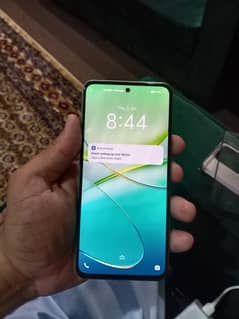 vivo