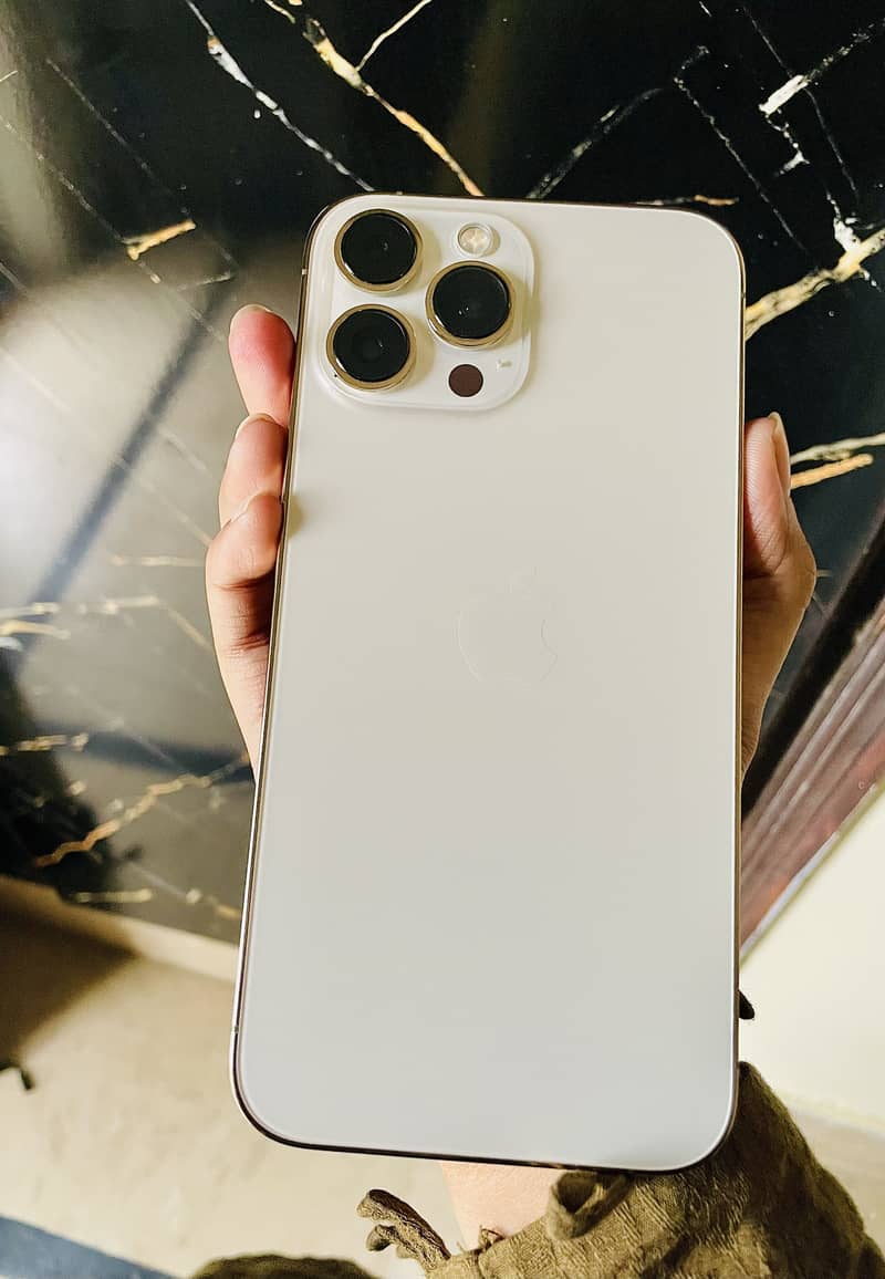 iPhone 13Pro Max 0