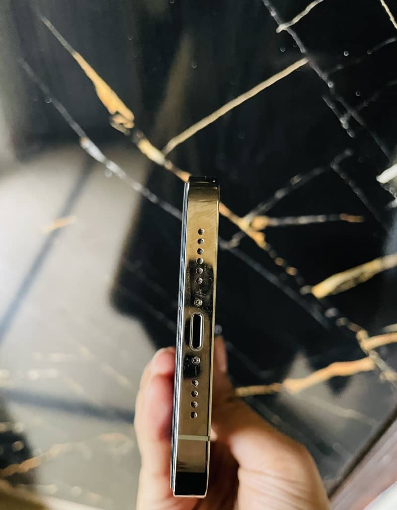 iPhone 13Pro Max 2