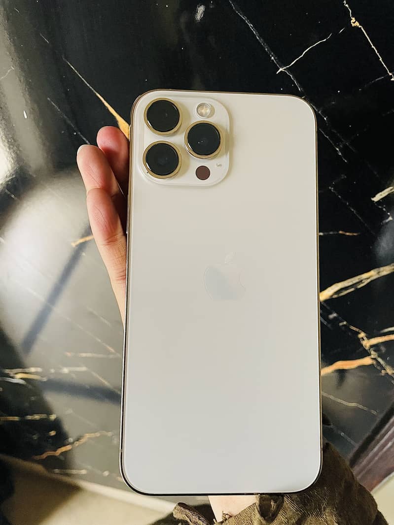 iPhone 13Pro Max 3