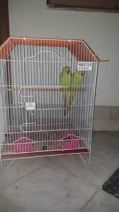 Male