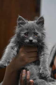 his name is osker