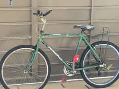 Phoenix cycle (urgent sale)