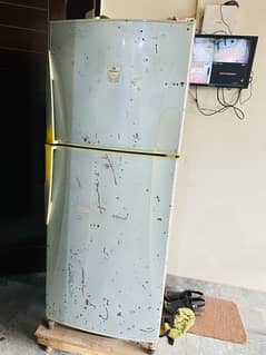 large sized refrigerator