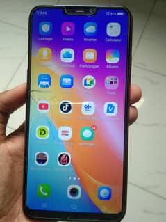vivo
