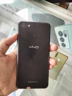 Vivo