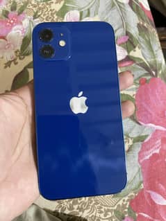 Apple iPhone 12