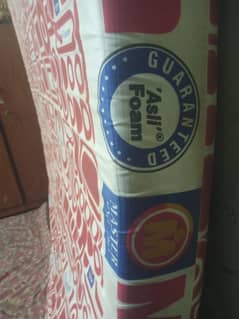 Molty Foam Matress