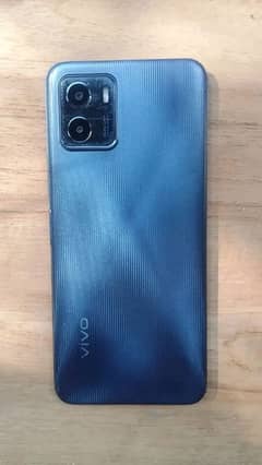 vivo