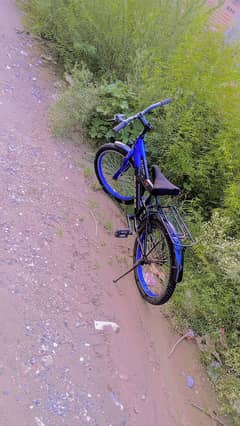 cycle